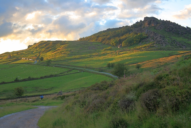 Road to the Roaches