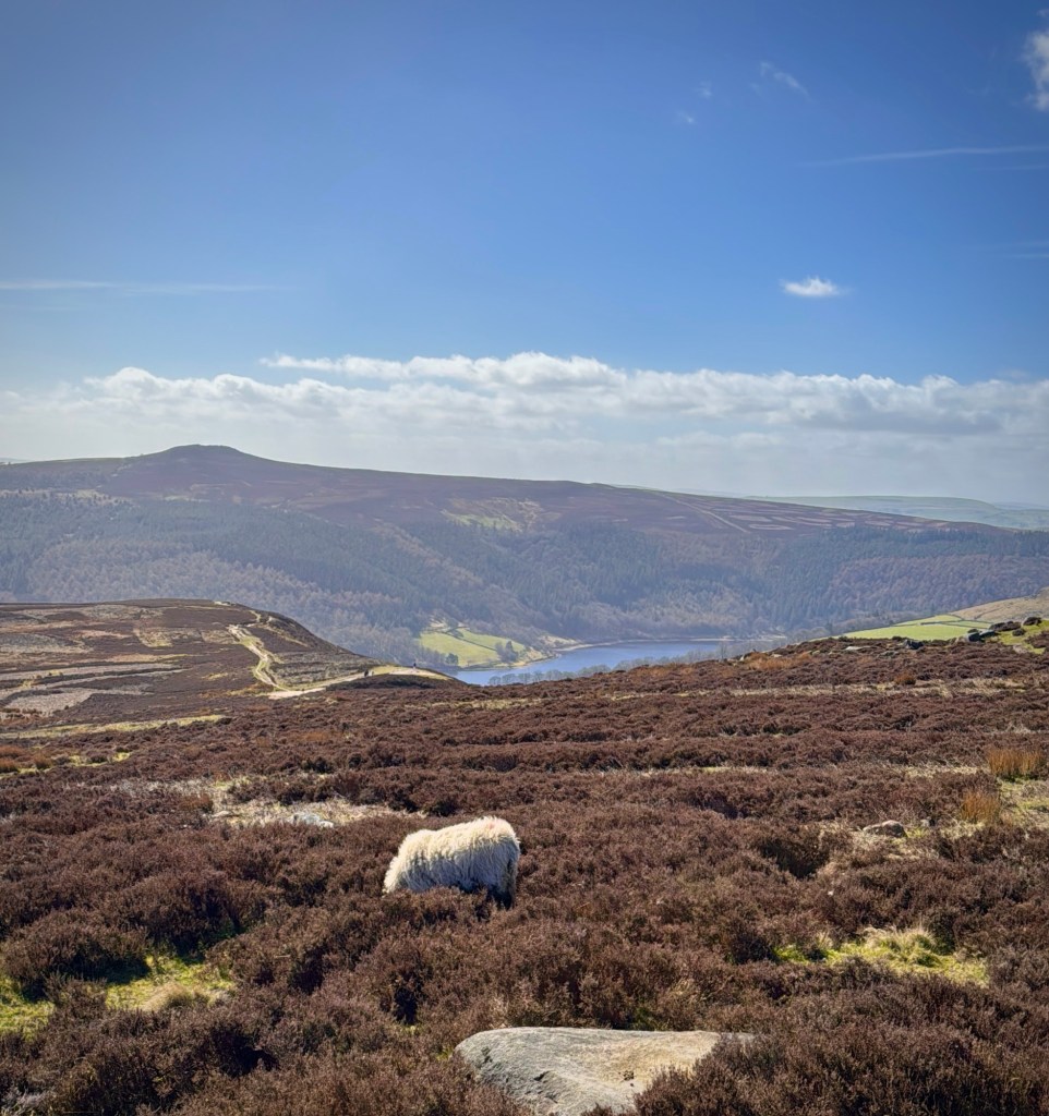 view across hope valley from Derwent Edge