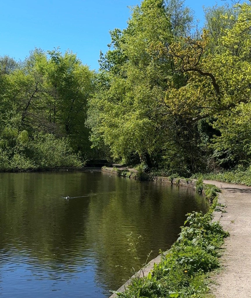 Pond at Rivelin Valley