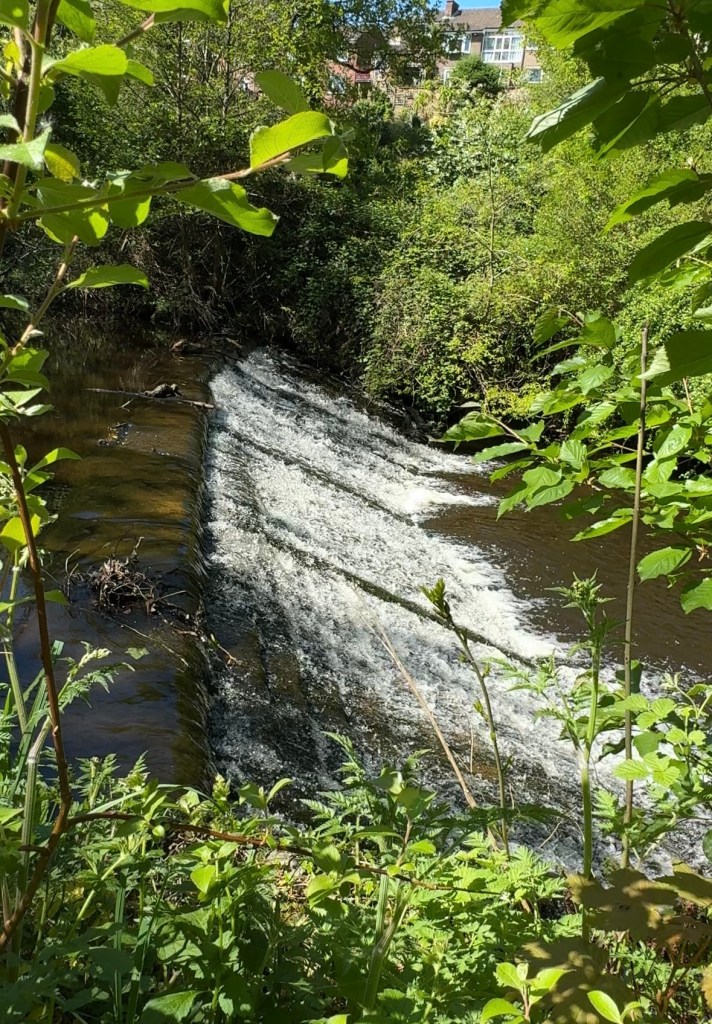 Weir at Rivelin Valley