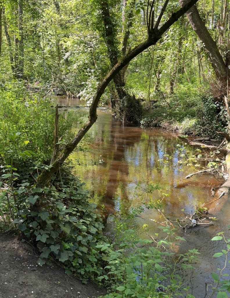 river at Rivelin Valley