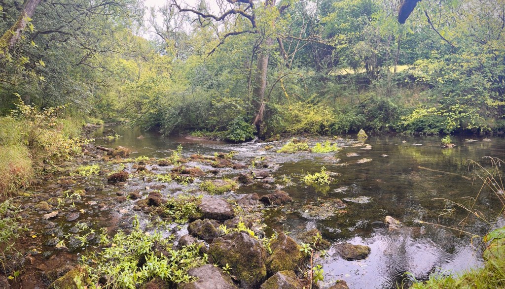 River at Chee Dale Nature Reserve