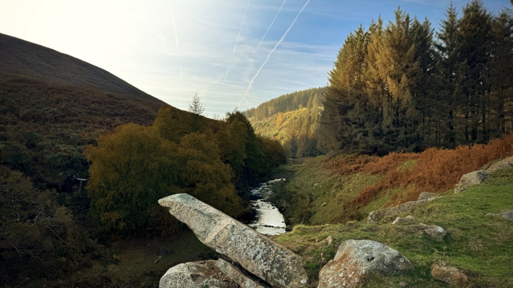 Valley bottom at Snake Woodland