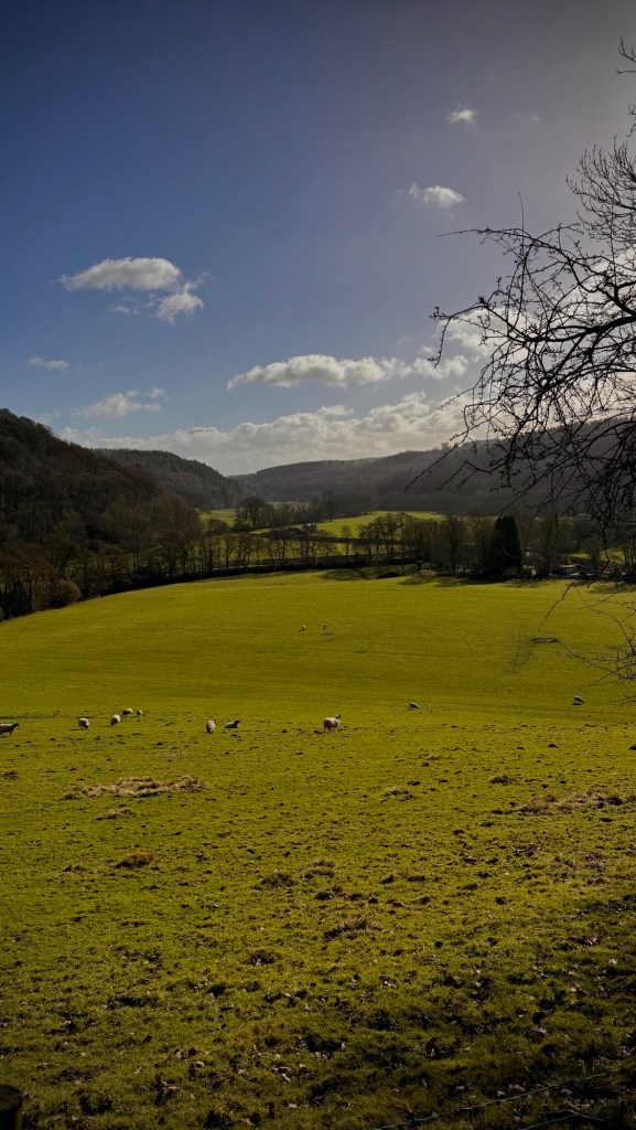 view across rievaulx valley