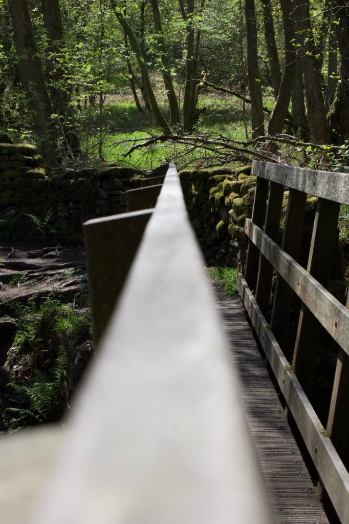 Bridge in Agden Bog Nature Reserve