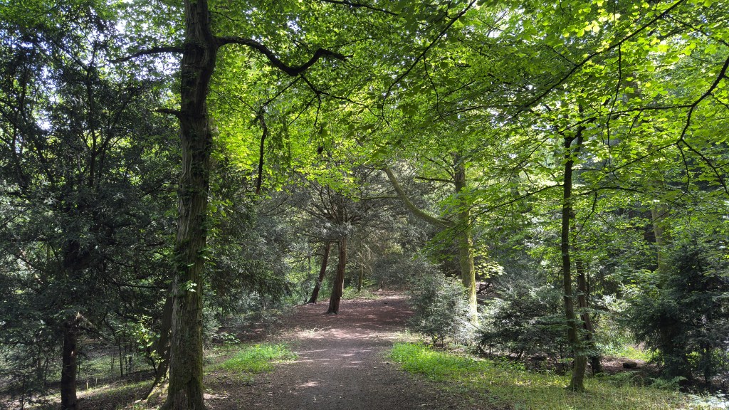 Pathway in Woolley Woods