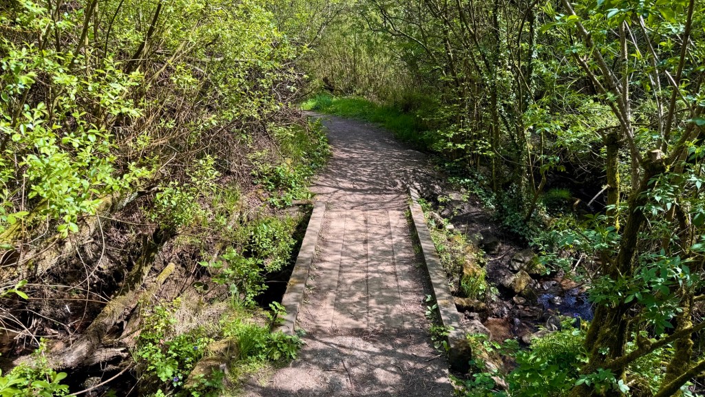 Wooden bridge at Limb valley