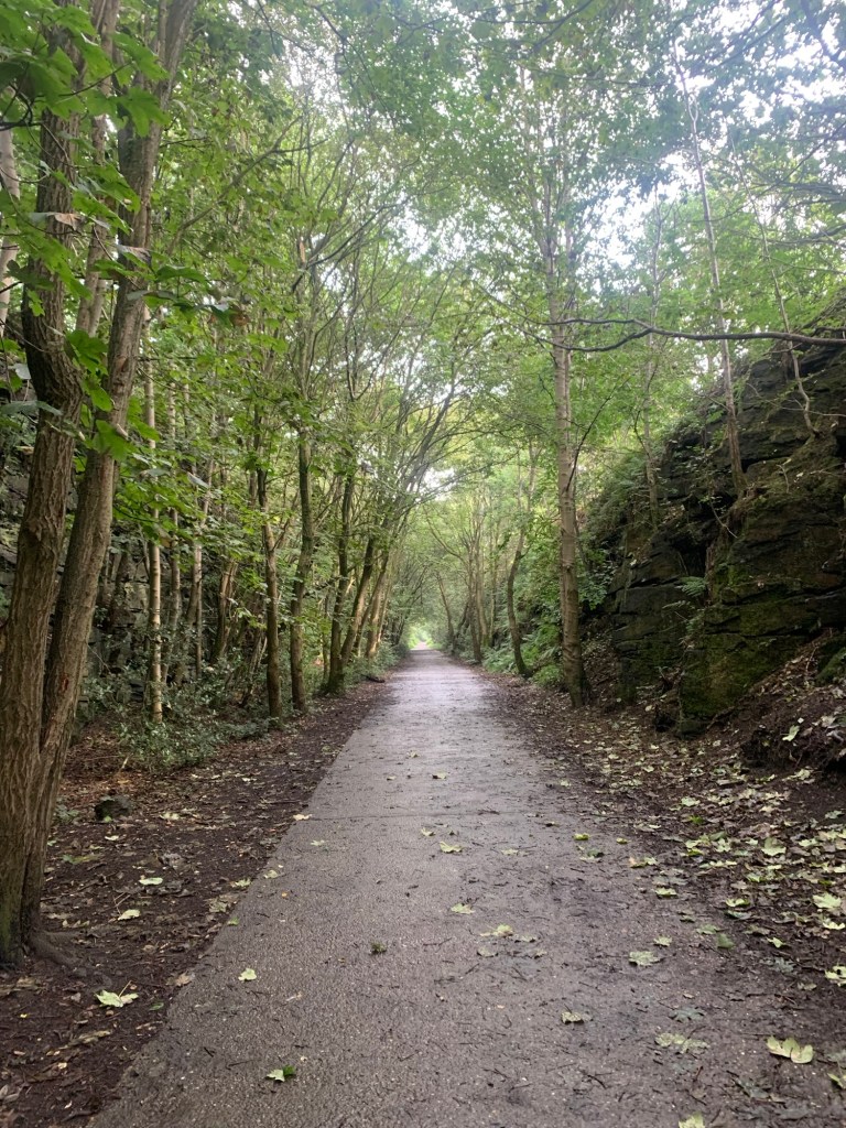 The path to Folly Dolly Falls