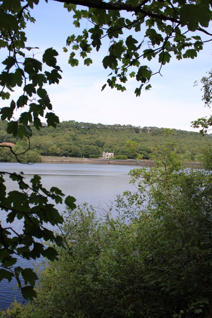 Rivelin Dams
