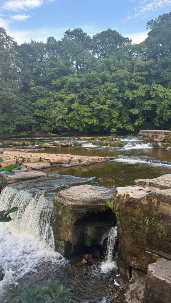 Richmond Falls