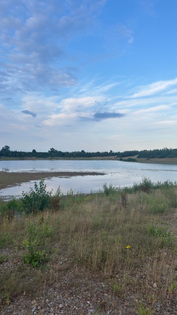 Scorton Lakes