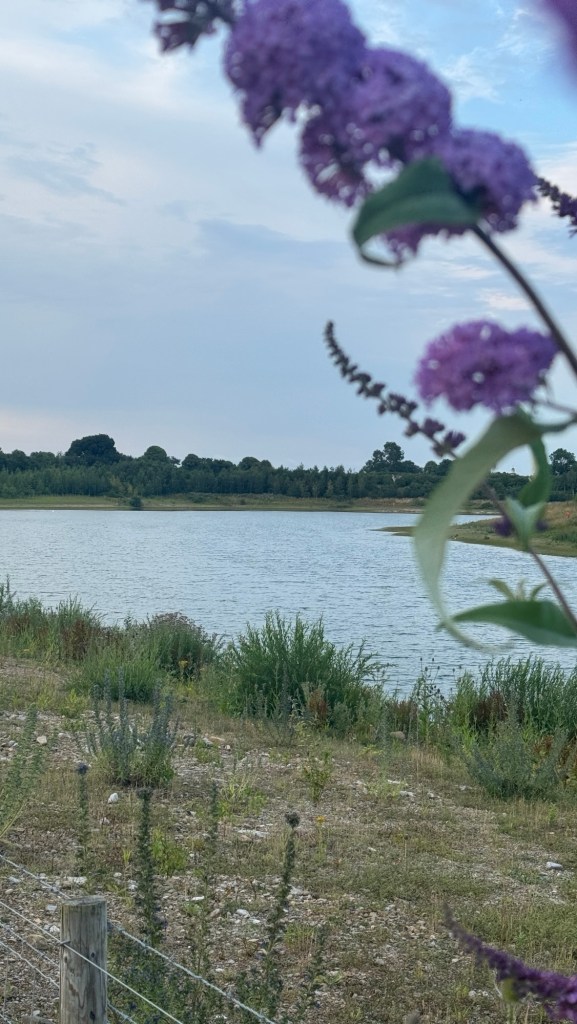 Scorton Lakes