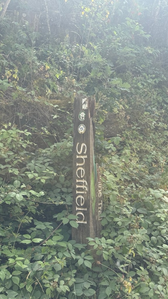 Wharncliffe Woods