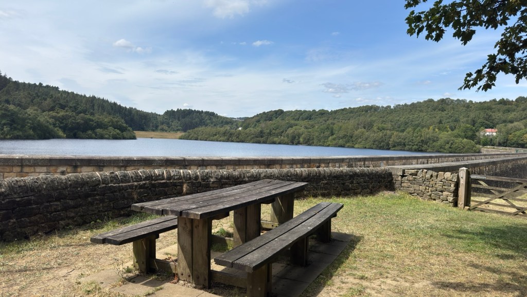 Rivelin Dams