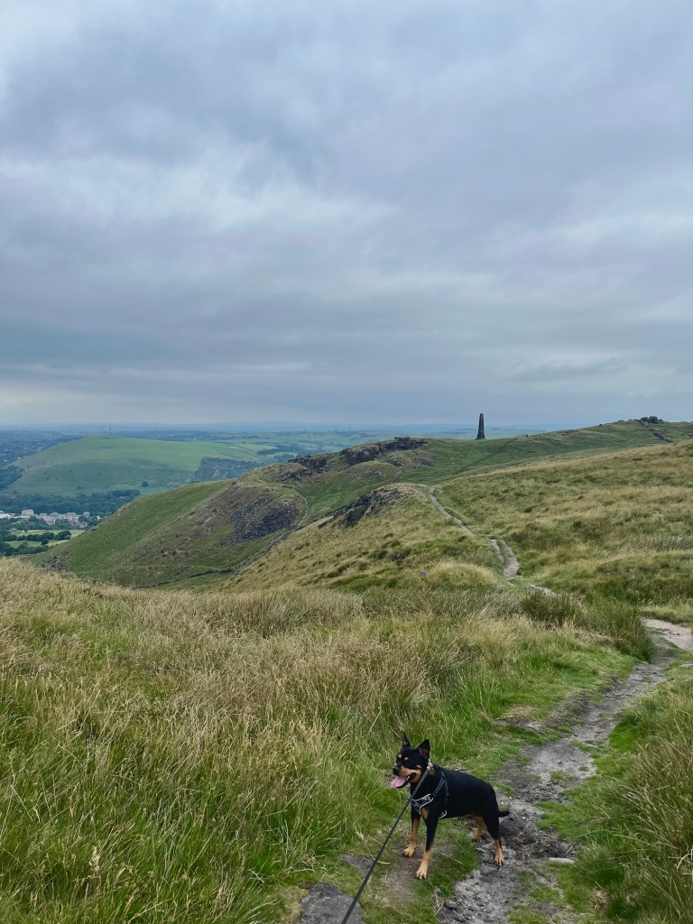 Alderman's Hill