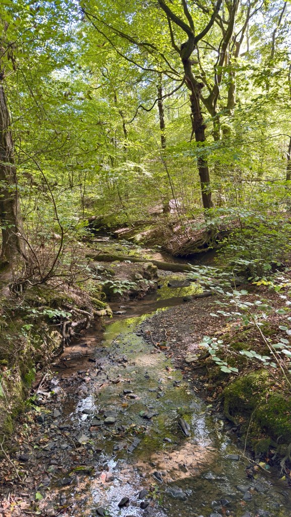 Moss Valley Woodlands Nature Reserve
